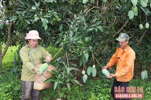 Công tác dân vận chính quyền ở Yên Châu