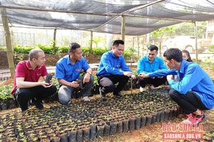 Phát huy vai trò tuổi trẻ ở huyện biên giới