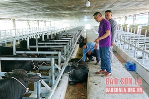 Lan tỏa phong trào nông dân sản xuất, kinh doanh giỏi 