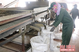 Bảo vệ quyền, lợi ích hợp pháp cho người lao động