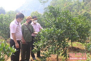 Thêm lực cho hộ nghèo, đối tượng chính sách phát triển sản xuất