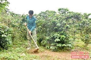 Sốp Cộp thực hiện tốt chính sách dân tộc