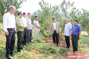 Cựu chiến binh Mộc Châu học tập và làm theo Bác