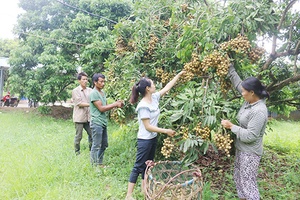 Huy động các nguồn lực giảm nghèo bền vững