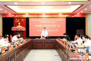 Phiên họp thứ mười bốn, UBND tỉnh khóa XV