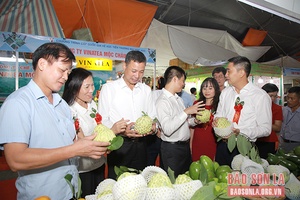 Khai mạc Hội chợ triển lãm thương mại vùng Tây Bắc - Sơn La năm 2022