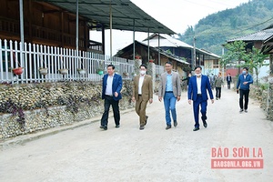 Luân chuyển cán bộ về cơ sở để rèn luyện, trưởng thành