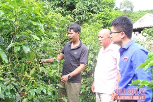 Kênh dẫn vốn hiệu quả, tin cậy với nhân dân