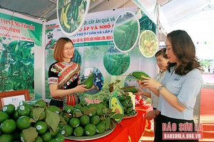 Bế mạc Hội chợ triển lãm thương mại vùng Tây Bắc - Sơn La năm 2022