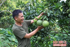 Quang Minh nỗ lực giảm nghèo