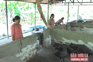 Hội LHPN Quỳnh Nhai giúp hội viên phát triển kinh tế
