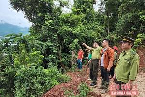 Phát huy vai trò của cộng đồng trong giữ rừng