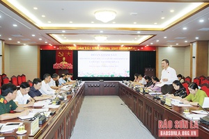 Đoàn giám sát của Hội đồng Dân tộc của Quốc hội làm việc với UBND tỉnh