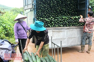 Chiềng Xuân chuyển đổi cơ cấu sản xuất