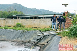 Kiên quyết xử lý vi phạm về lĩnh vực bảo vệ môi trường