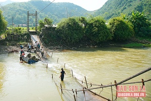 Phù Yên: Sập cầu treo dân sinh tại bản Trò 1