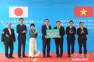 1.000 cây hoa Anh Đào từ Nhật Bản được trồng tại huyện Vân Hồ
