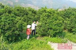 Phong trào “Dân vận khéo” ở Phù Yên