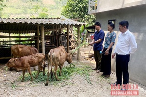 Nghị định 78 - Nguồn lực hỗ trợ giảm nghèo