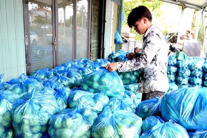 Tăng hiệu quả của các tổ chức kinh tế tập thể • Bài 2: Để kinh tế tập thể phát triển bền vững
