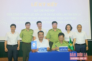 Phối hợp bảo vệ rừng, PCCCR và bảo vệ an toàn hành lang lưới điện cao áp