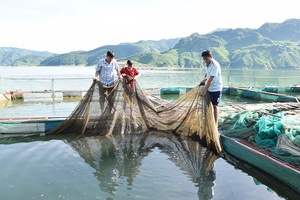 Mường La nỗ lực thoát nghèo • Kỳ I: Những cách làm sáng tạo ở cơ sở