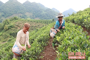 Đổi thay ở các bản vùng cao Chiềng Khoang