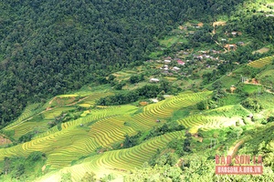 Cát Lình - Bức tranh đa sắc