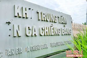 Cần có giải pháp khai thác hiệu quả bến cá Chiềng Bằng