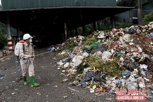 Quản lý, thu gom, vận chuyển, xử lý chất thải rắn