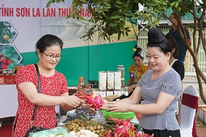 Giúp nông dân tiếp cận sàn thương mại điện tử