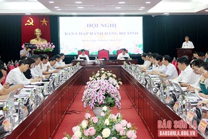 Hội nghị Ban Chấp hành Đảng bộ tỉnh