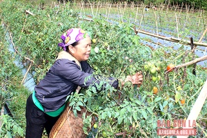 Phát huy tinh thần “Tuổi cao, gương sáng”