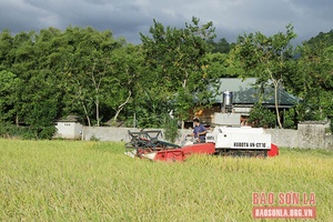 Cơ giới hóa và ứng dụng công nghệ thông minh vào sản xuất