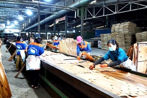 Rõ vai trò tập thể lãnh đạo và người đứng đầu cấp ủy