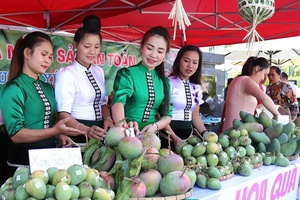 Xây dựng đội ngũ cán bộ thật sự tiên phong, gương mẫu