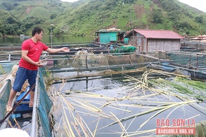 Mô hình kinh tế tổng hợp cho thu nhập 500 triệu đồng