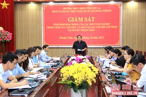 Giám sát hoạt động sau sắp xếp, sáp nhập thuộc lĩnh vực giáo dục, đào tạo