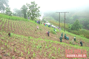 “Những ngọn gió Hua Tát”