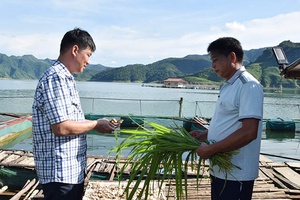 Đảng bộ xã Chiềng Lao lãnh đạo  nhân dân phát triển kinh tế, xã hội