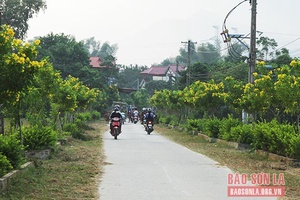 Huy Tân hướng tới xây dựng nông thôn mới nâng cao