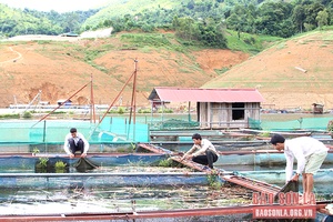 Chủ động xây dựng phương án sản xuất phù hợp với thị trường