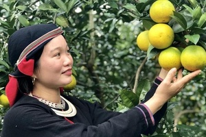 Xây dựng hệ thống chính sách xã hội bao quát, toàn diện