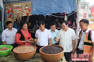 Ngày hội văn hóa, thể thao các dân tộc và giới thiệu nông sản huyện Phù Yên