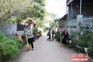 Phụ nữ Mộc Châu chung tay xây dựng nông thôn mới