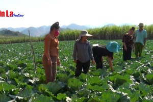 "Điểm tựa" cho hội viên phát triển kinh tế