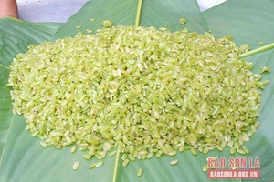 Dẻo thơm cốm nếp tan bản Hán