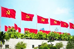 Đống mối và bối bòng bong