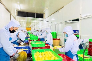 Tăng tốc xuất khẩu nông sản cuối năm