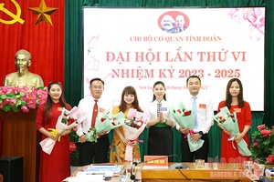 Đại hội Chi bộ cơ quan Tỉnh đoàn lần thứ VI